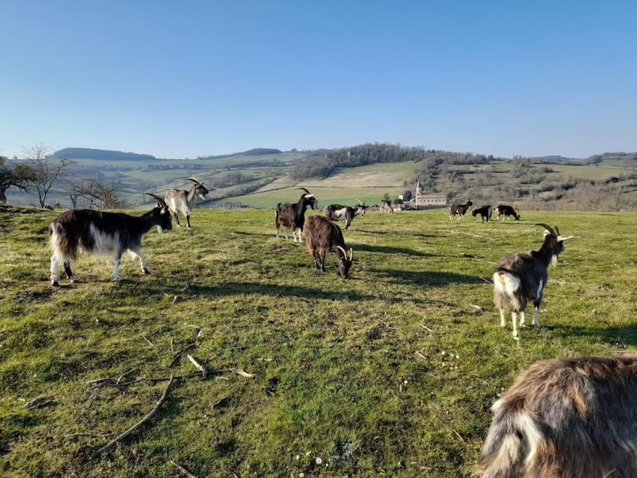 Les Vacances Passy  Buitenkant foto