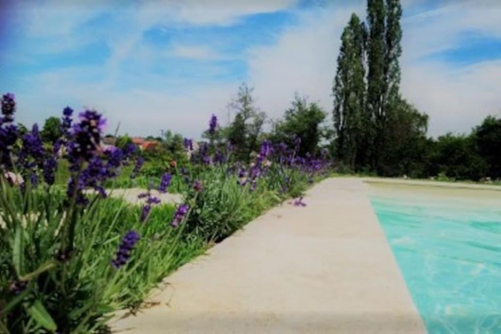 Les Vacances Passy  Buitenkant foto